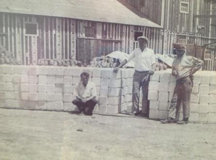 Members of the Nevada State Pure Salt Company in 1931.